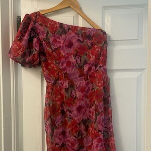 Showpo One Shoulder Floral Dress in Red and Pink